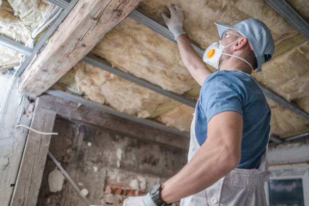 Professional Insulation Contractor in Loves Park, IL
