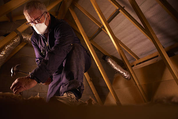 Types of Insulation We Offer in Loves Park, IL